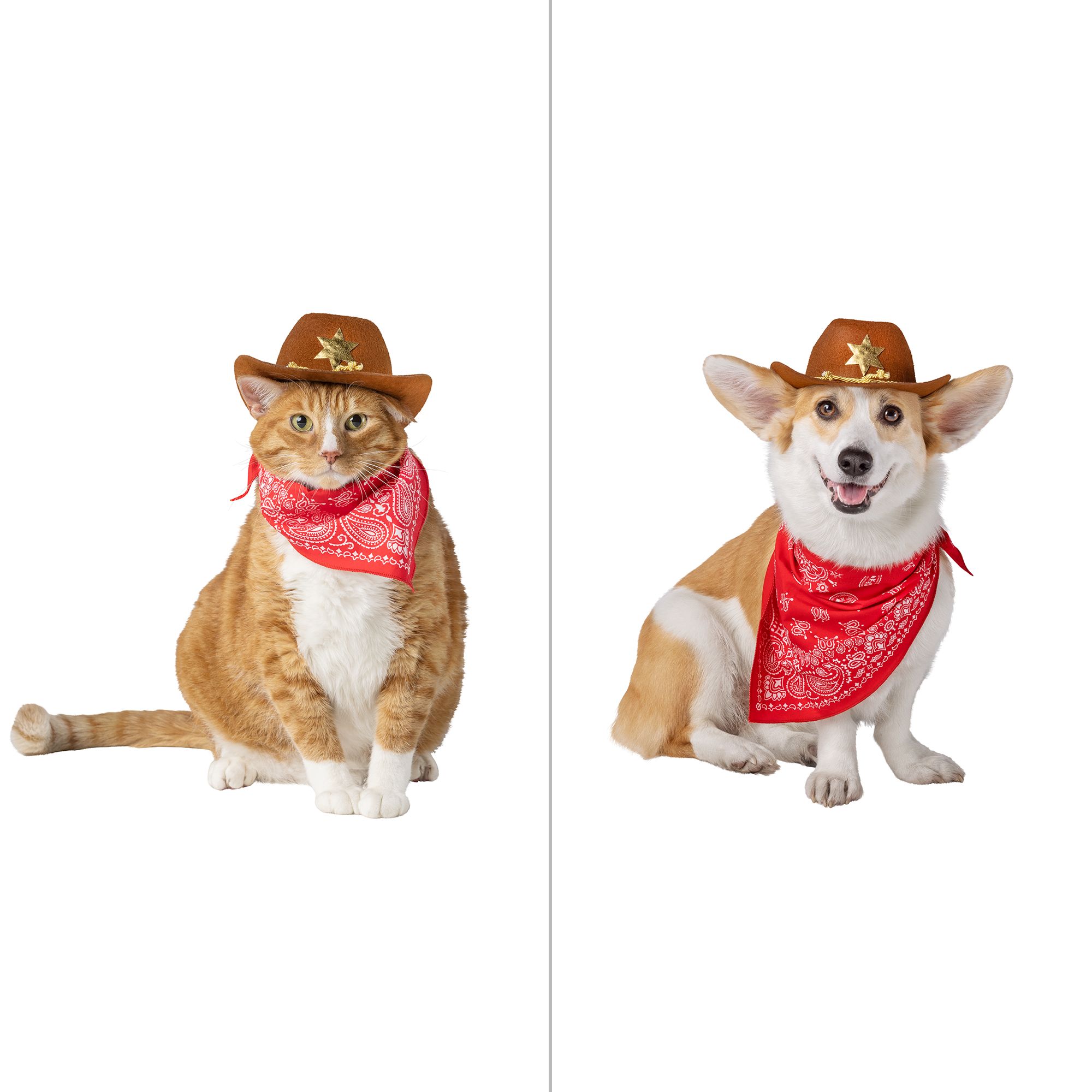 PetSmart Halloween, shop costumes for pets 