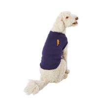 2022 New Design Antumn Winter Baseball Sweater Corgi Clothing Pet Sports  Clothing Warm Winter Dog Clothing - China Dog Clothing and Wholesale Dog  Clothes price