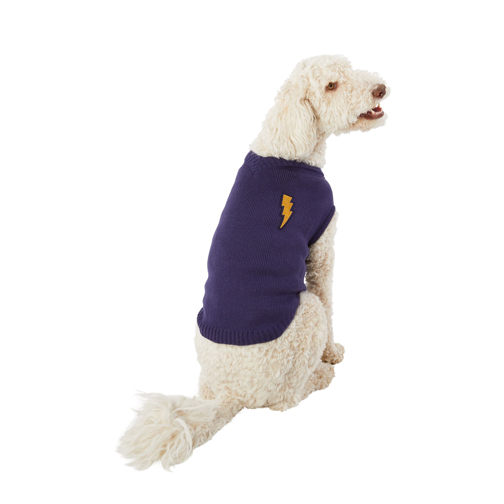 Top Paw® Back-To-School Trouble Maker Dog Vest, dog Sweaters