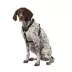 Top Paw® Basic Nylon Dog Harness image thumbnail 1