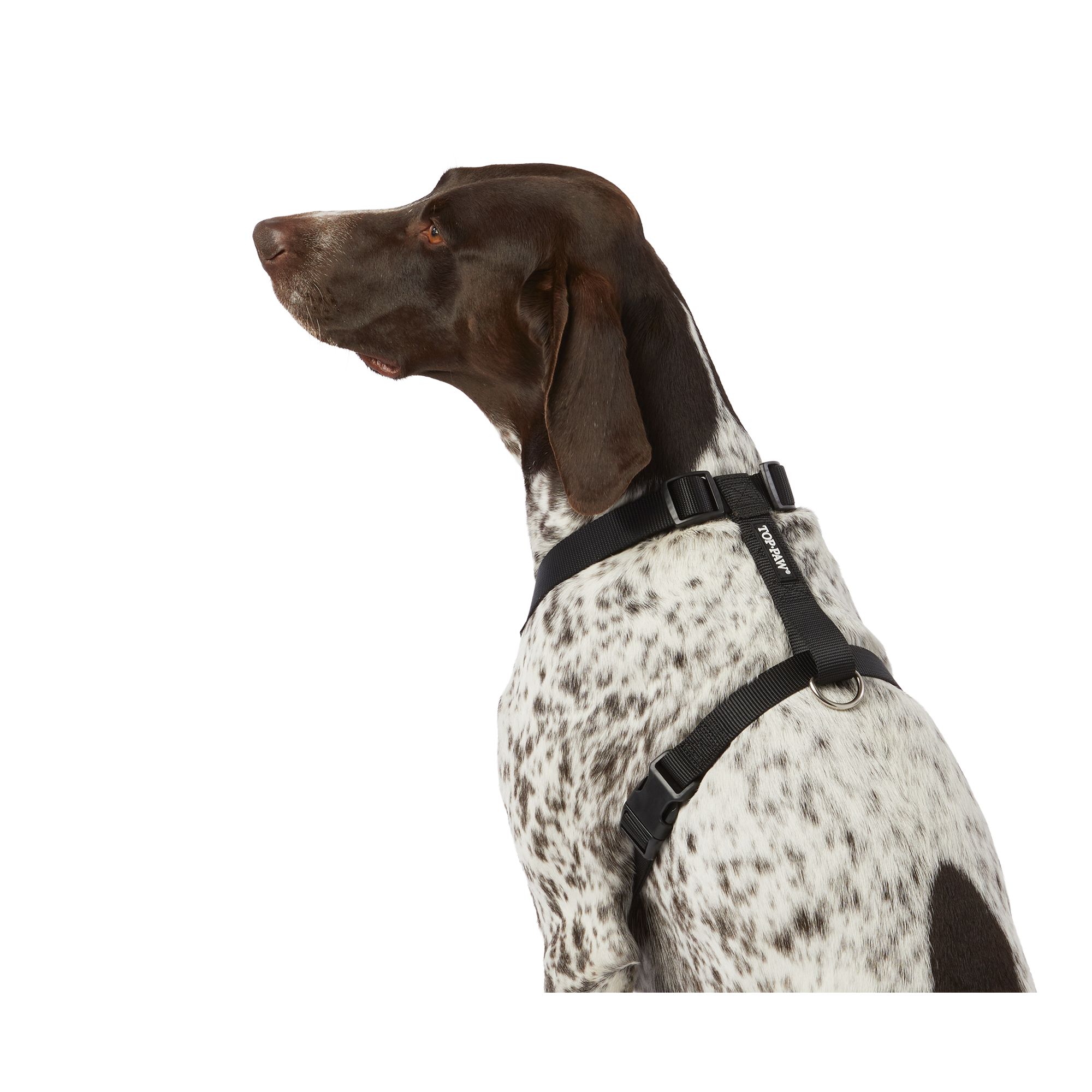 How to put on top paw adjustable harness best sale