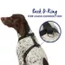 Top Paw® Basic Nylon Dog Harness image thumbnail 3