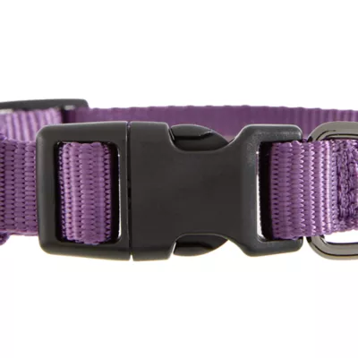 Product Top Paw® Gunmetal Nylon Dog Collar