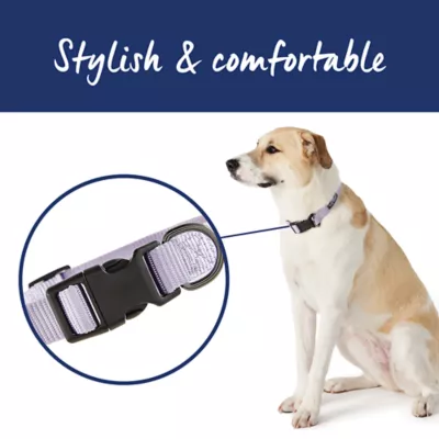 Product Top Paw® Gunmetal Nylon Dog Collar