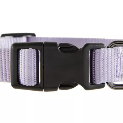 Product Top Paw® Gunmetal Nylon Dog Collar