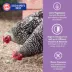 Eggland's Best® Layer Pellets for Chickens image thumbnail 4