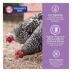 Eggland's Best® Layer Pellets for Chickens image thumbnail 4