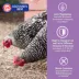 Eggland's Best® Layer Pellets for Chickens image thumbnail 4