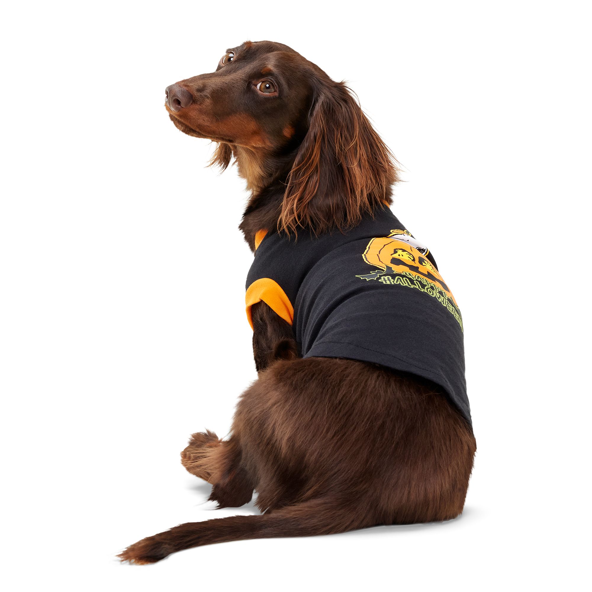Dog Shirts Dog T-Shirts, & Tank Tops | PetSmart
