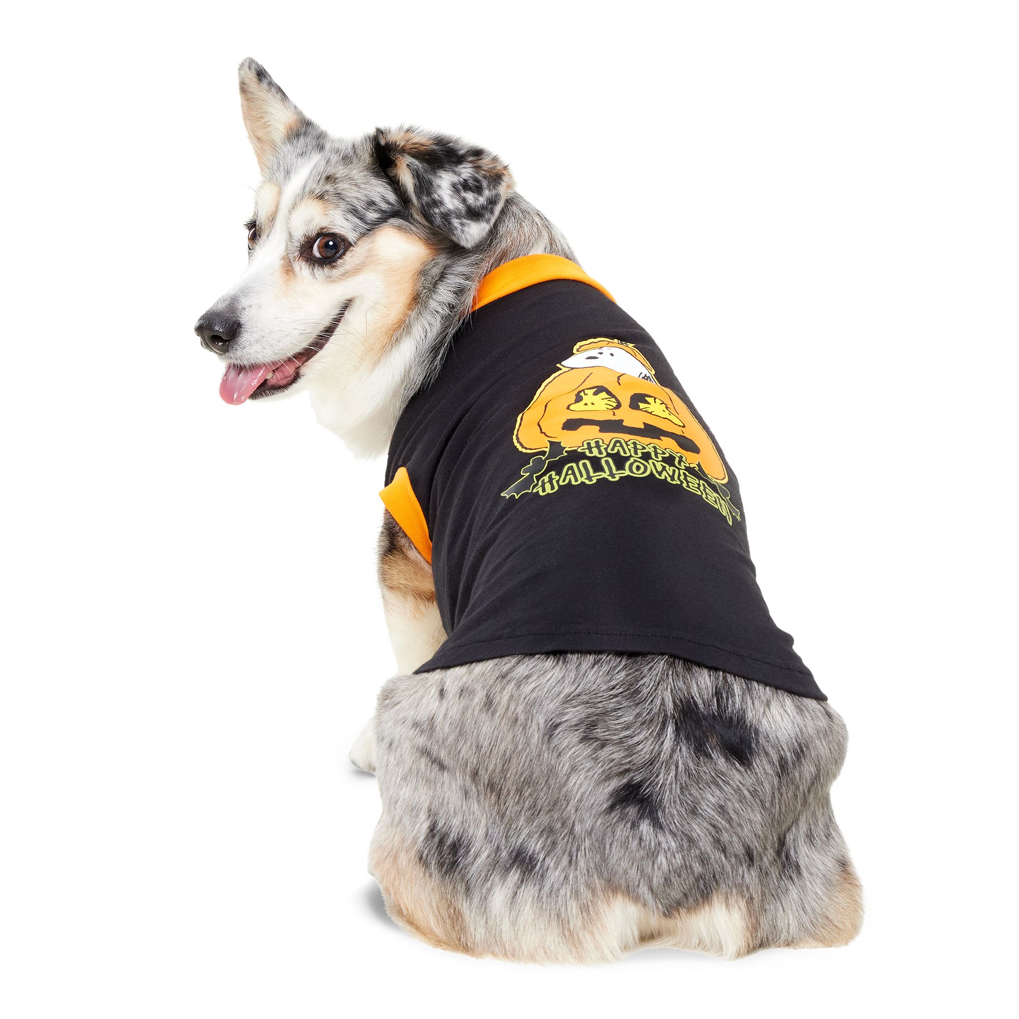 small dog steelers jersey