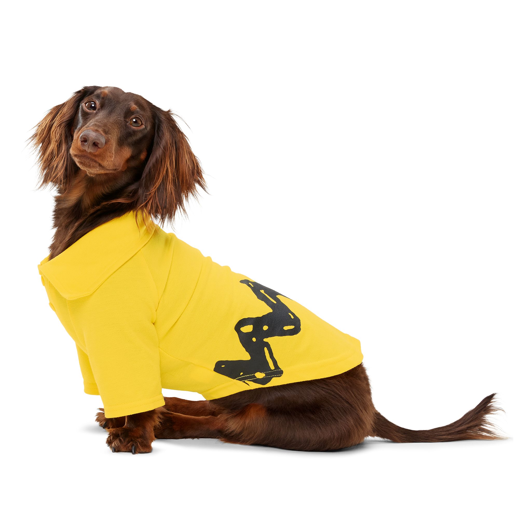 Bark Halloween Charlie Brown Polo | dog T-shirts & Tank Tops | PetSmart