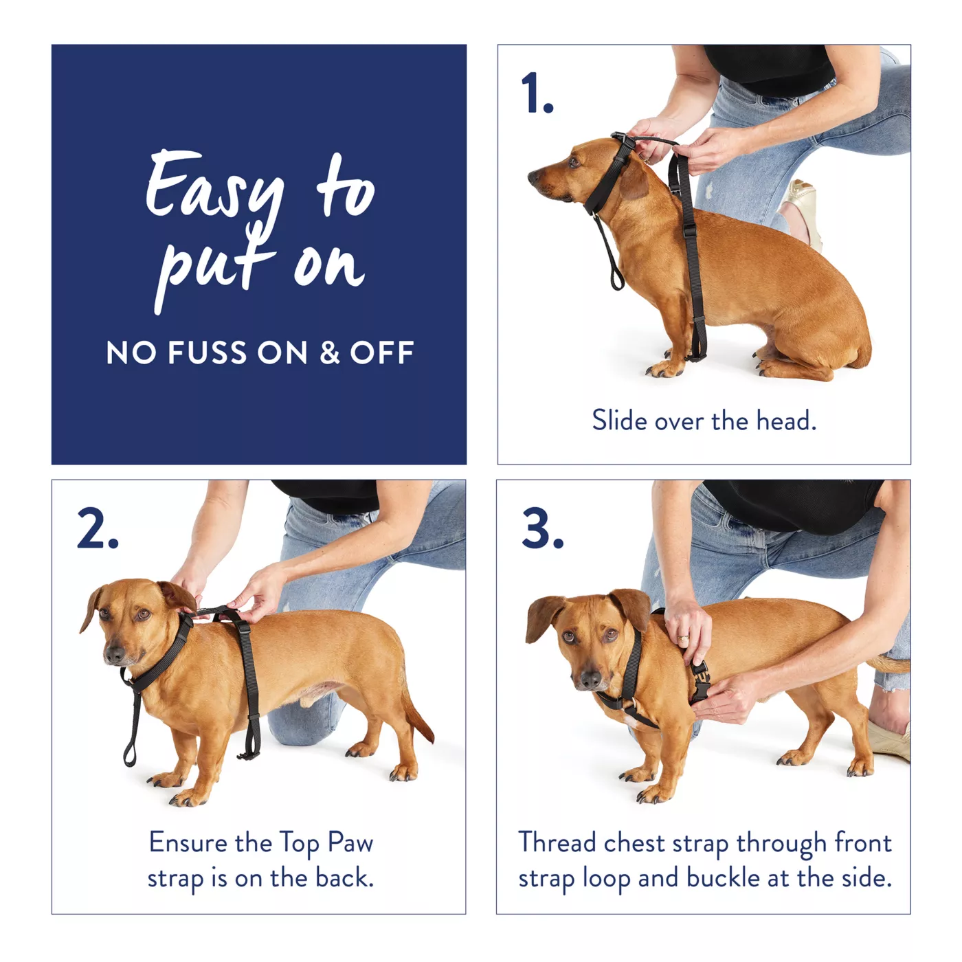 How to put a top paw harness on a dog hotsell