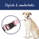 Product Top Paw® Signature Adjustable Dog Collar