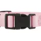 Product Top Paw® Signature Adjustable Dog Collar