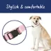 Top Paw® Signature Adjustable Dog Collar image thumbnail 2
