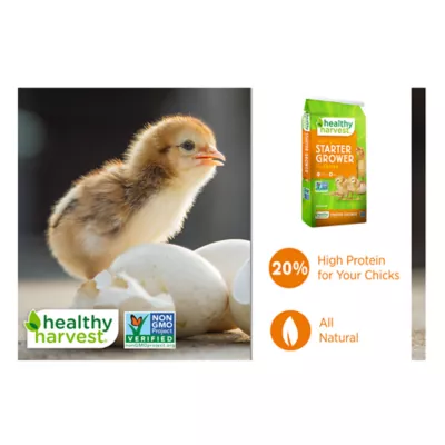 Product Healthy Harvest® Non-GMO Chick Starter Grower Crumbles