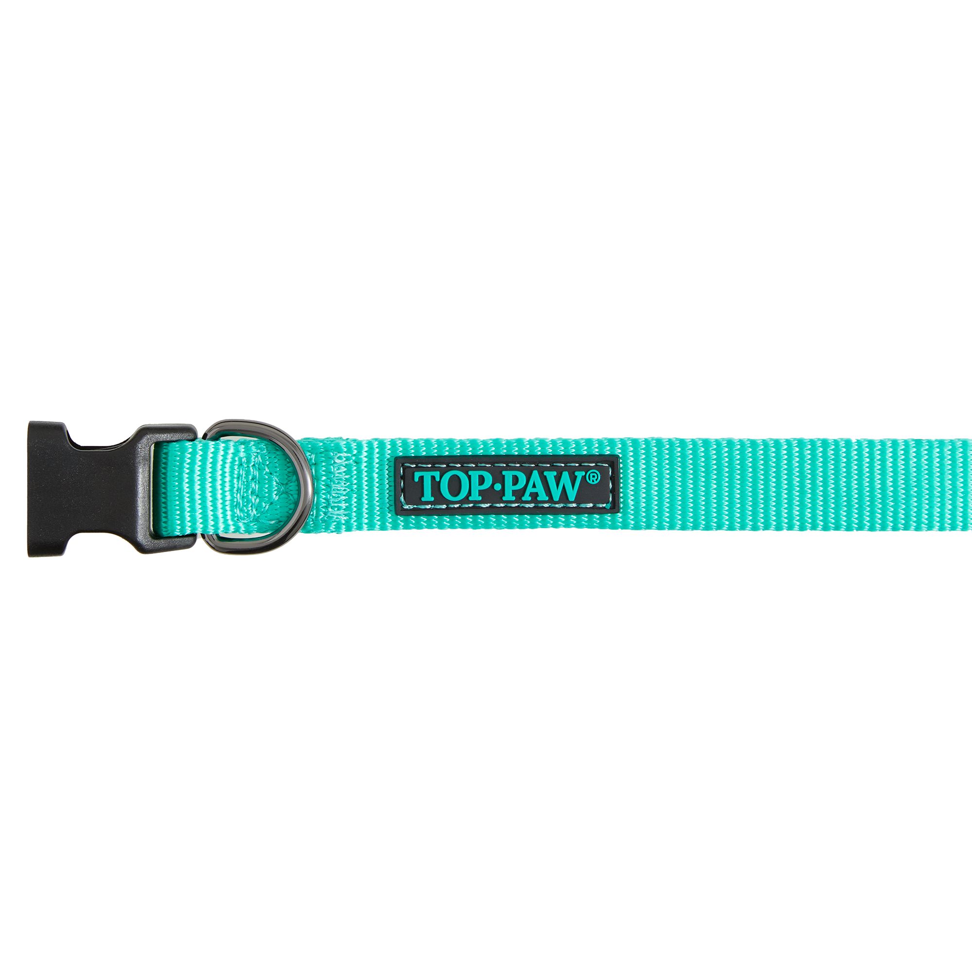 Nylon choke collar petsmart best sale