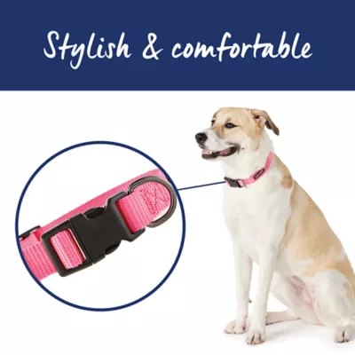 Product Top Paw® Gunmetal Nylon Dog Collar