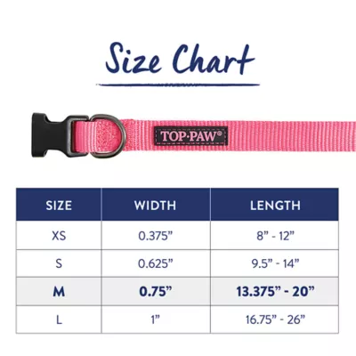 Product Top Paw® Gunmetal Nylon Dog Collar