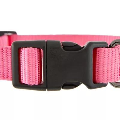 Product Top Paw® Gunmetal Nylon Dog Collar