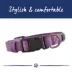 Top Paw® Signature Adjustable Dog Collar image thumbnail 2