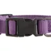 Top Paw® Signature Adjustable Dog Collar image thumbnail 5