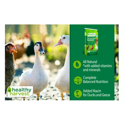 Product Healthy Harvest® Flock Maintainer®