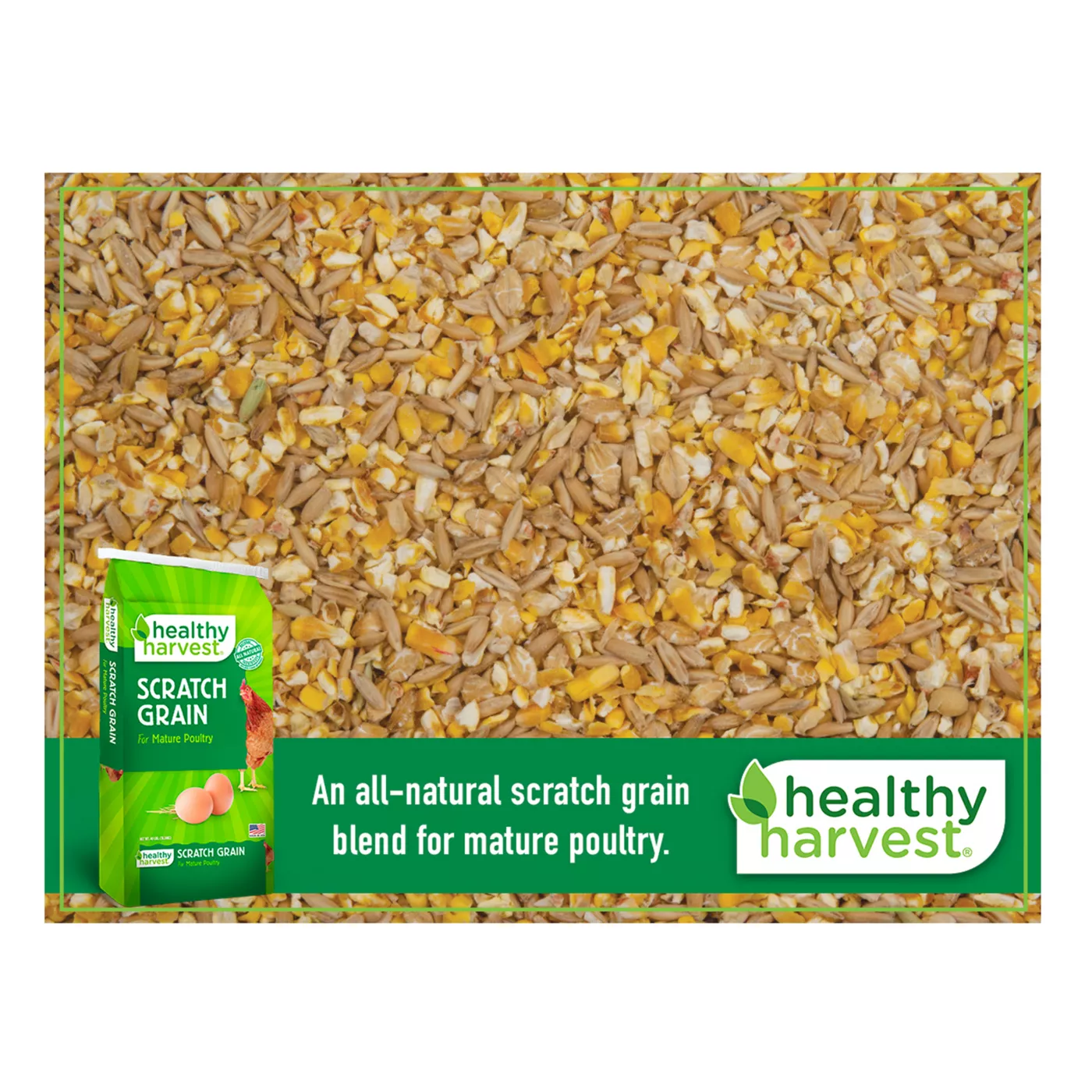 Healthy Harvest Scratch Grain