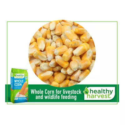 Product Healthy Harvest® Whole Corn