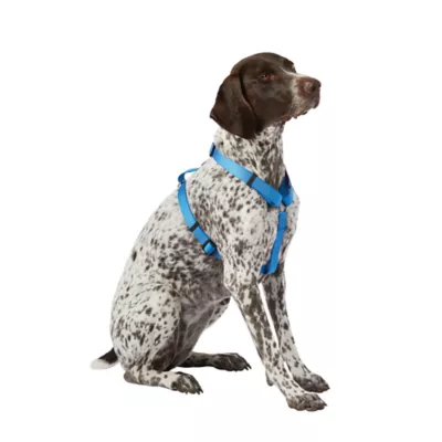 Top Paw® Basic Dog Harness, Slip On Dog Harness, Adjustable, Multiple Colors, Multiple Sizes - Image 1