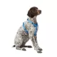 Product Top Paw® Signature Adjustable Dog Harness