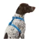 Product Top Paw® Signature Adjustable Dog Harness