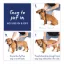 Top Paw® Basic Dog Harness, Slip On Dog Harness, Adjustable, Multiple Colors, Multiple Sizes image thumbnail 5