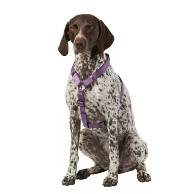 Product Top Paw® Gunmetal Adjustable Dog Harness