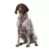 Top Paw® Basic Nylon Dog Harness image thumbnail 1