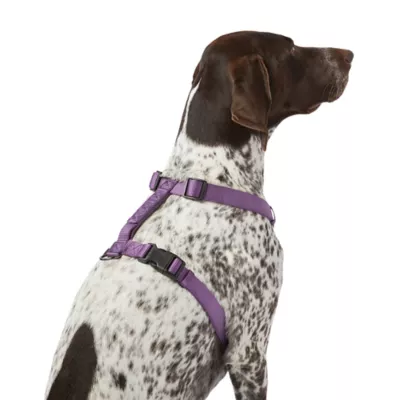 Product Top Paw® Gunmetal Adjustable Dog Harness