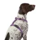 Product Top Paw® Gunmetal Adjustable Dog Harness