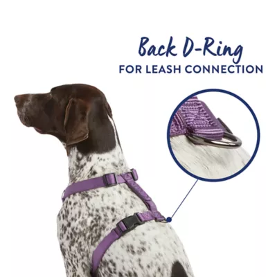 Product Top Paw® Gunmetal Adjustable Dog Harness