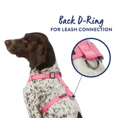 Product Top Paw® Basic Nylon Dog Harness