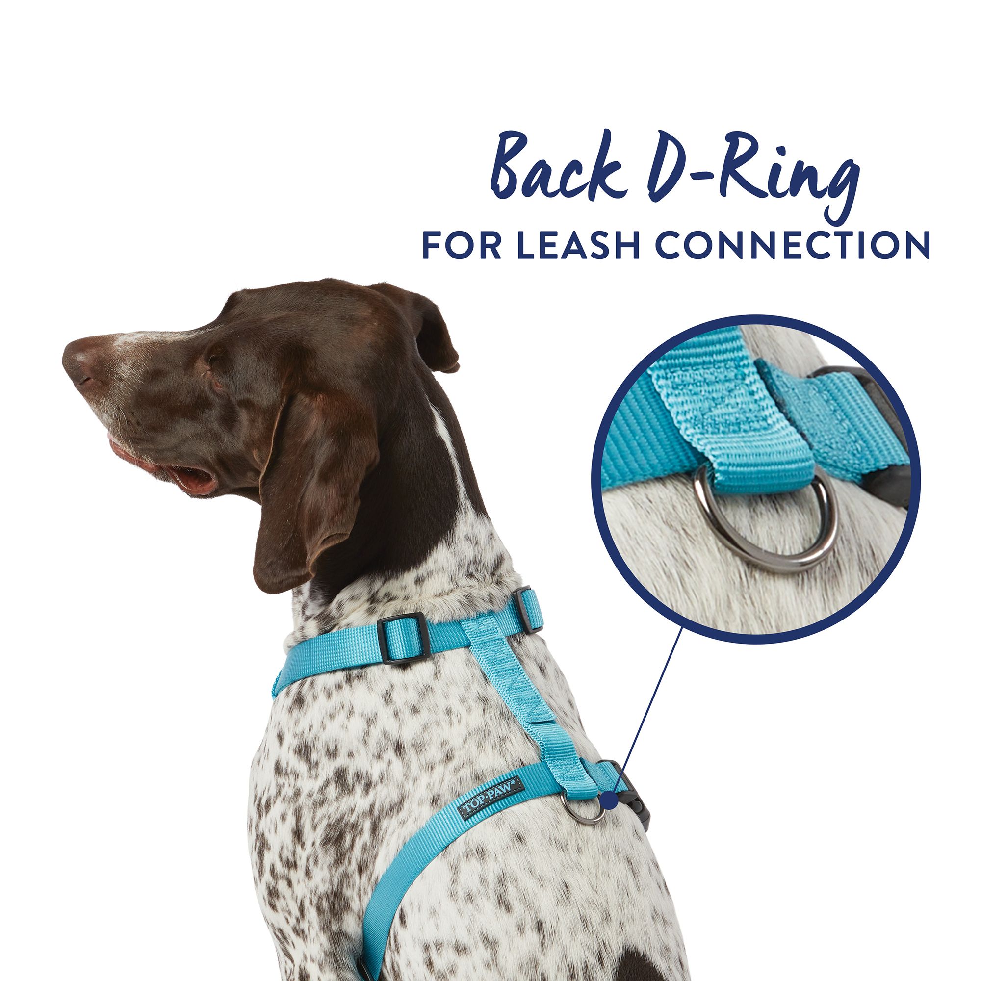 How to put on top paw harness best sale