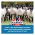 Kalmbach Feeds® Ewe Builder image thumbnail 4