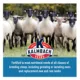 Product Kalmbach Feeds® Ewe Builder