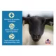 Product Kalmbach Feeds® Ewe Builder