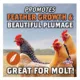 Product Kalmbach Feeds® Full Plume® Feathering Feed