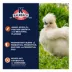 Kalmbach Feeds® Full Plume® Feathering Feed image thumbnail 5