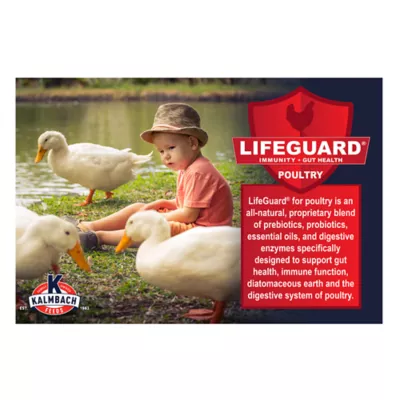 Product Kalmbach Feeds® Duck and Goose Feed