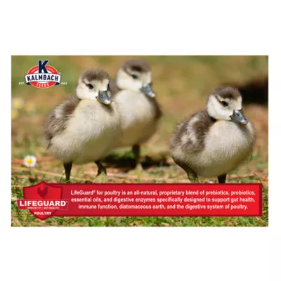 Product Kalmbach Feeds® 20% Flock Maker® Pellet