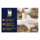 Product Kalmbach Feeds® Start to Finish Meatbird Feed