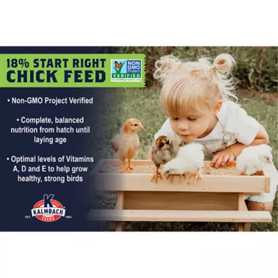 Product Kalmbach Feeds® Non-GMO Start Right® Chick Feed