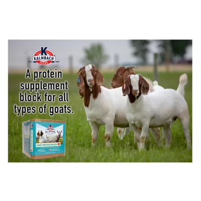 Product Kalmbach Feeds® Goat Protein Block Supplement